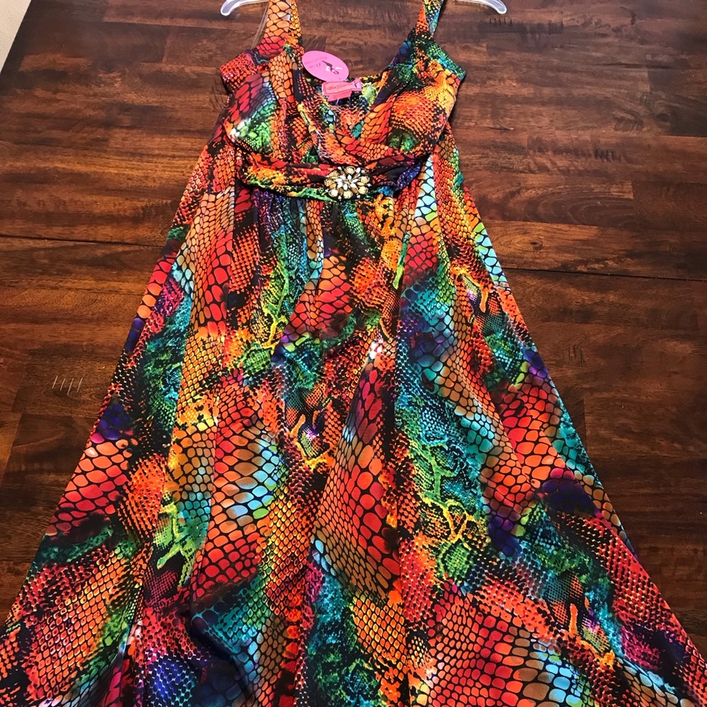 Stunning Diva Collection Dress